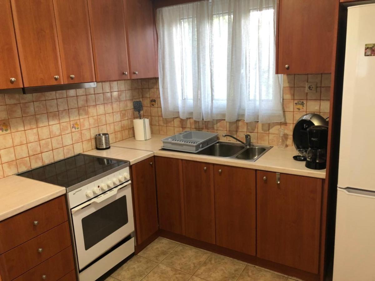 VasilítsionΑgrilitsa Houseアパートメント エクステリア 写真